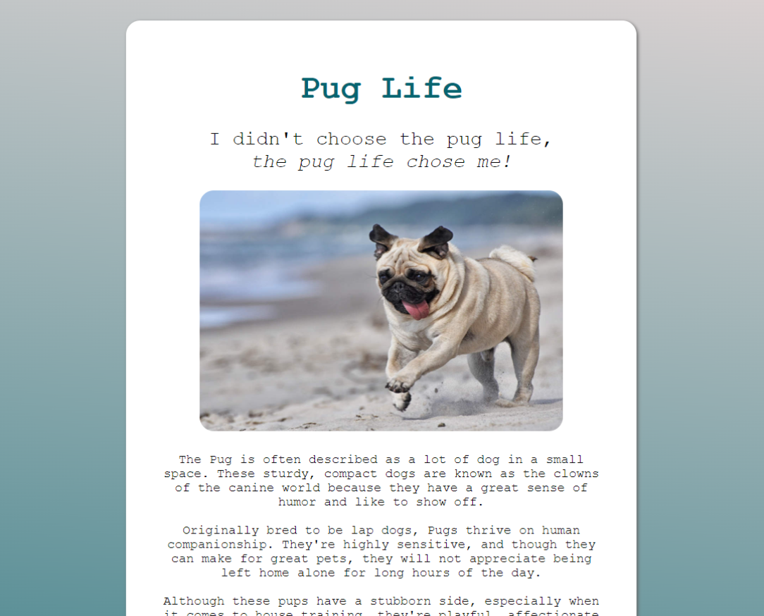 Webpage about pugs